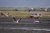 TANZANIA - Lake Natron - 063